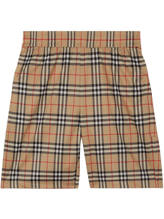 Berry Shorts v3